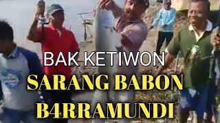 Di Sarang Bak ,Tegal