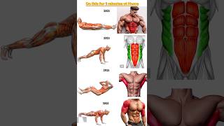 Do This for 3 Minutes at Home! Full Abs Workout (No Equipment) #shorts #homeworkout