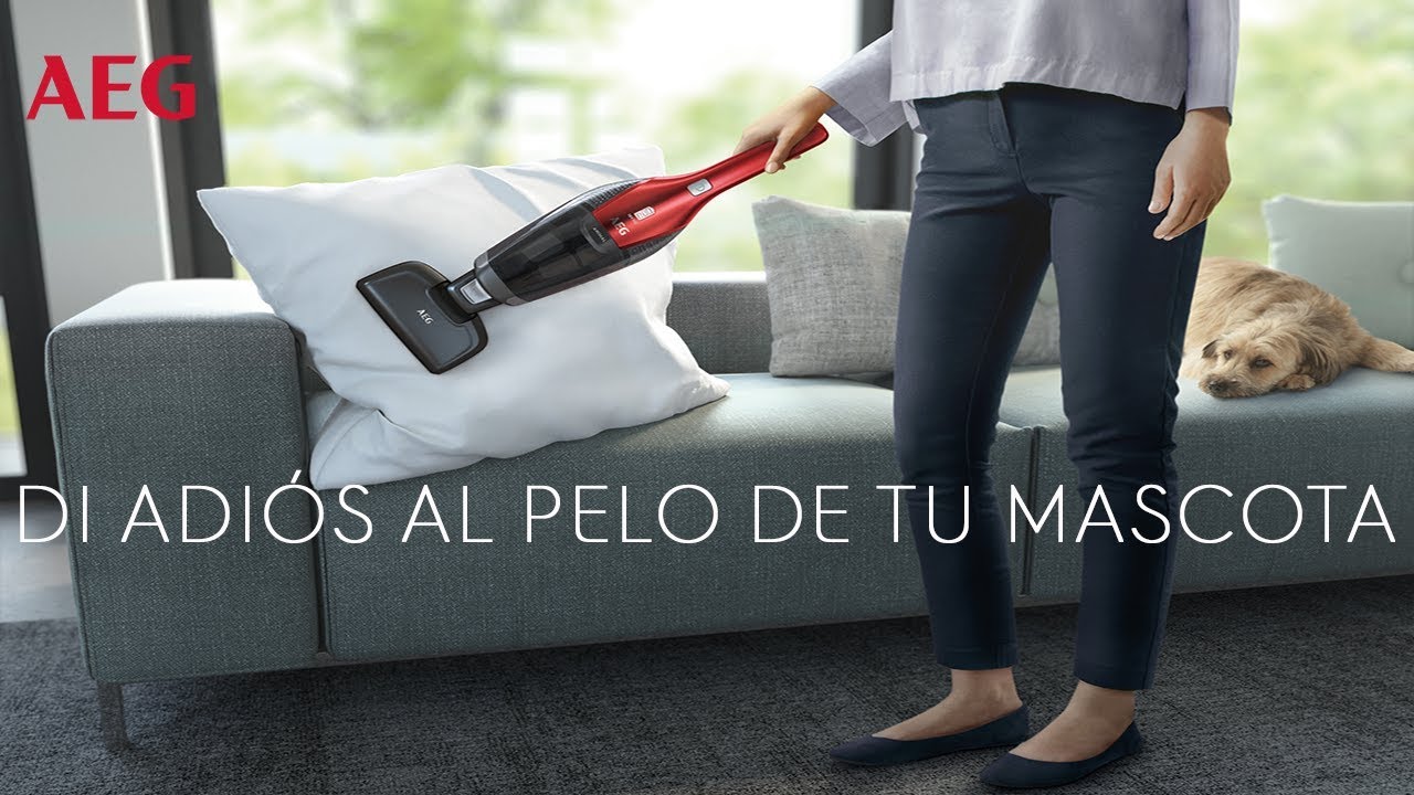 Cuáles son las mejores aspiradoras de mano para mascotas?