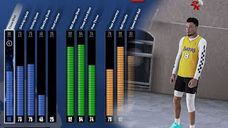 HER ŞEYİ YAPAN PG BUILDİ | Türkçe NBA 2K24