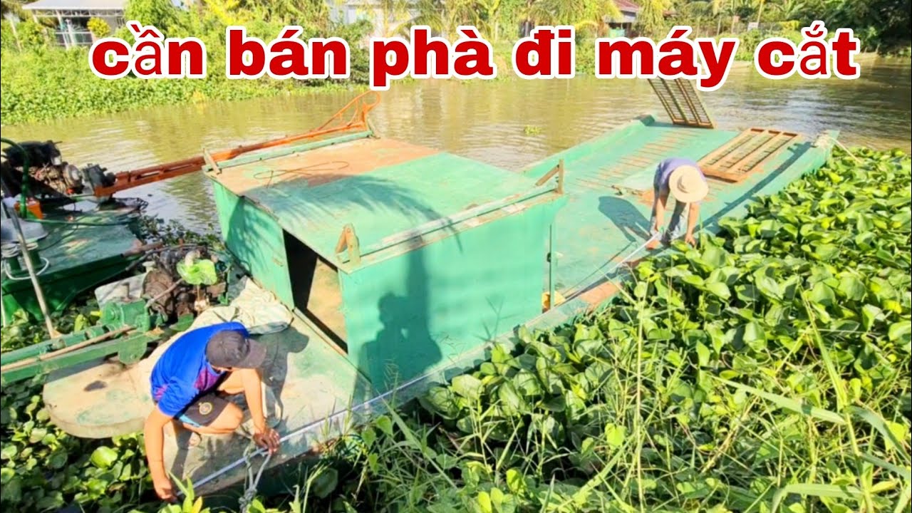 CẦN BÁN PHÀ ĐI MÁY CẮT AI CẦN LIÊN HỆ 0911535007