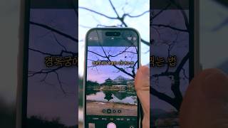 경복궁에서 특별한 풍경사진 찍는 법