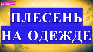 Как ОТСТИРАТЬ ПЛЕСЕНЬ с одежды. Убрать, постирать и удалить плесень на одежде. Быстро вывести пятна(, 2016-01-10T22:08:17.000Z)