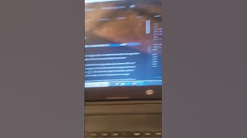 Food chain/ java codechef solution