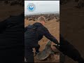 Teenager Rescues Baby Seal #shorts