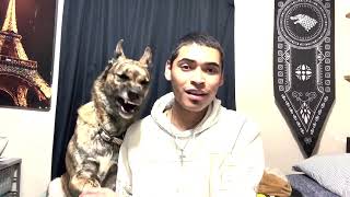 Sequence 01 YouTube