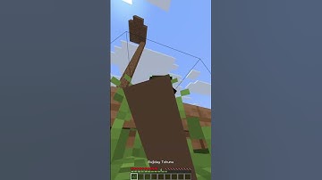 Minecraft Noob vs Pro #minecraft #shorts