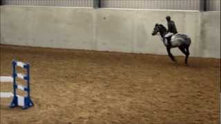 Copy Of Wexford Equestian Indoor Arena