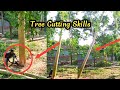 Satisfying tree cutting  tree cutting skills