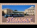 Павловский парк.  Прогулка в Паловском парке.