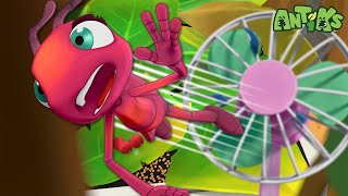 Big Fan | 🐛 Antiks & Insectibles 🐜 | Funny Cartoons for Kids | Moonbug