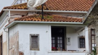 Visite una casa abandona y con esto me encontré  / Mirna Hernández