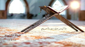 ما تيسر من سورة مريم.. تلاوة مختارة لأبي خالد