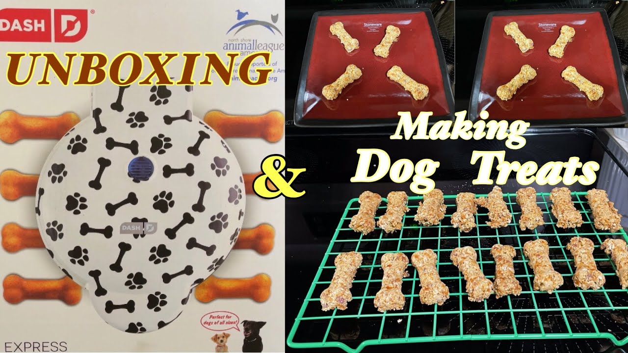 Unboxing Dash Express Dog Treat Maker and making dog treats 