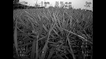 Maxi Swift FPV, Nov. 5th 2011