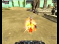 Silkroad Online 11,12 TG and ivy