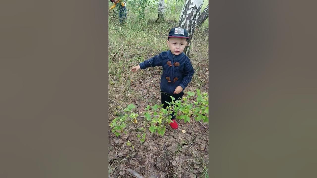 Пердушка -полное видео 🔥#youtube #грбы - YouTube