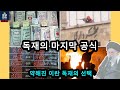 [로얄이슈] 이란은 끝났을까? 아니면 지금이 가장 위험한 순간일까?