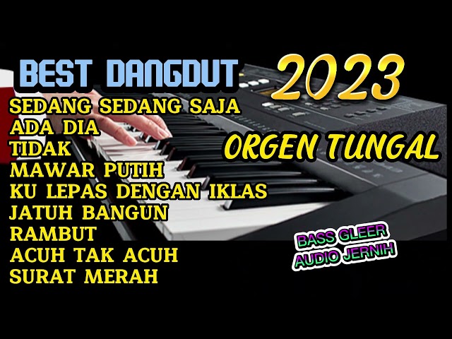 BEST DANGDUT SEDANG SEDANG SAJA 2023 ORGEN TUNGGAL class=