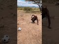 Hadzabe hunter saw a football for the first time