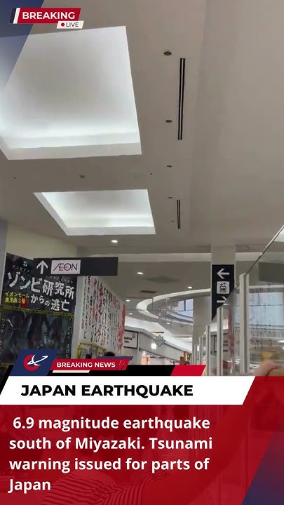 Japans tsunami caught on camera