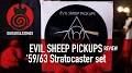 Video for Evil Sheep Guitar Pickups