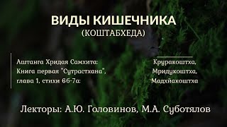 6.2. Виды кишечника (коштабхеда). Круракоштха, Мридукоштха, Мадхйакоштха. Головинов. Суботялов.