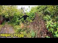 Covering the whole pavement peggys garden rescue continues ep2