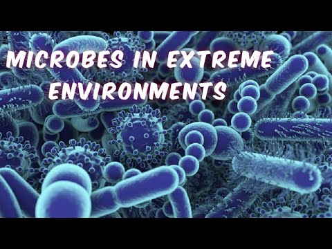 microbes in extreme environments | kb info | microbiology | biotechnology part 1 | microbes habitat