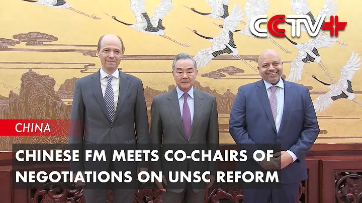 Chinese FM Meets Co-Chairs of Negotiations on UNSC Reform - DayDayNews