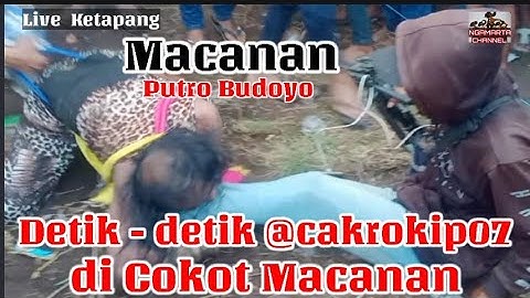 Detik @CakRokipofficialdi Cokot Macanan | Jaranan Putro Budoyo Banyuwangi | Live Ketapang 050722