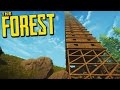 WHAT HAPPENS WHEN WE REACH THE CEILING? - The Forest Creative
