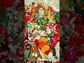 Devi WhatsApp status video l Shri Vanadevi #devi #whatsappstatus #durgamaa #godstatus