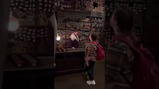 A Wand Chooses Me at Ollivander’s Wand Shop: Full Experience!