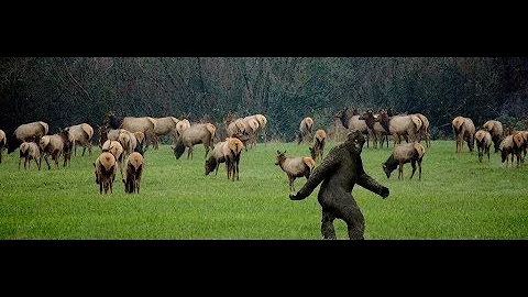 World Bigfoot Radio #30, Pt. 1 ~ Bear, Brenda and ...