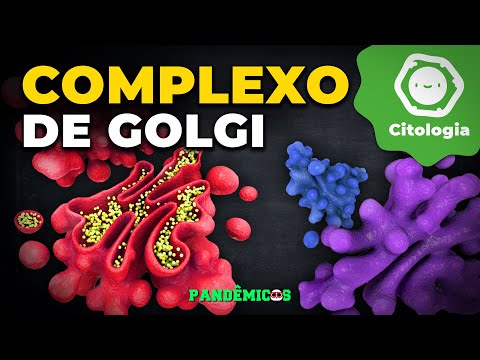 Vídeo: Onde as vesículas são formadas no aparelho de Golgi?