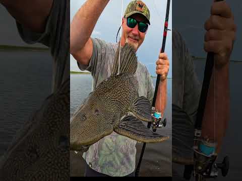 Anyone can do this! Sh0ot Fish!