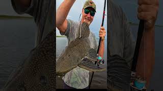 Anyone can do this! Sh0ot Fish!