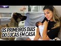 PRIMEIROS DIAS DO LUCAS EM CASA