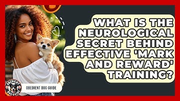 What Is The Neurological Secret Behind Effective 