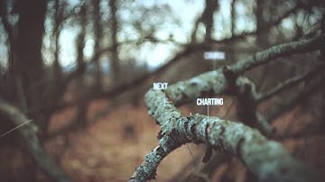 Finding Your Balance In A Digital World