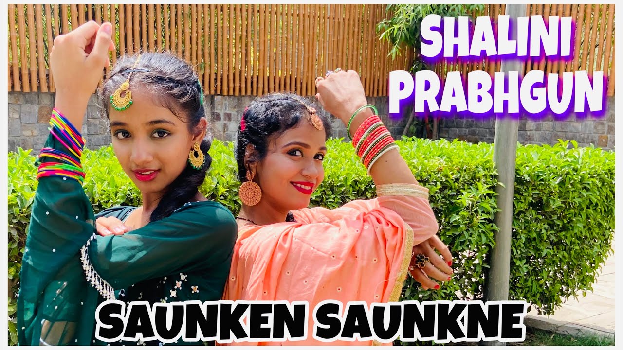 Gall Mann Le Meri | Dance Video | Saunkan Saunkne Song | Nagi Vlogs