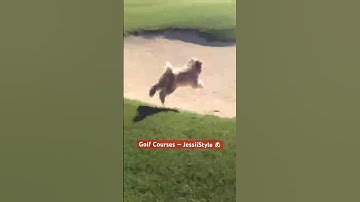 Me vs the Golf Course 🐶 @TheJessiiShow #TheManniiShow.com/series