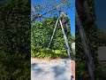 JUST WATCH #views #lawnmowingbusiness #cutit #lawncare #subscribe PLEASE SUB AND LIKE #thankyou