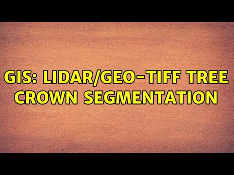 GIS: LiDAR/Geo-TIFF Tree