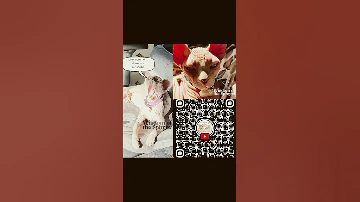 Video 7985601: sphynx cat, lazy sphynx, spotted cat