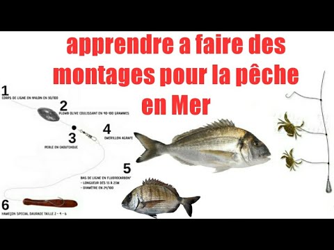 La peche en bord de mer