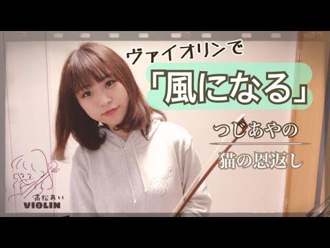 ヴァイオリンで「風になる」/猫の恩返し 主題歌 【高松あい_violin】