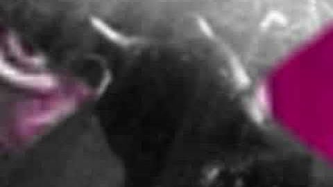 Crowfeather and Leafpool- When You