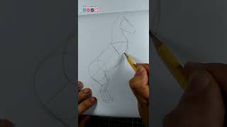 Cómo dibujar un Caballo  Paso a paso